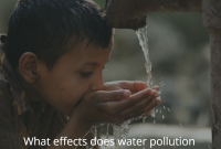 How Health Trends Influence Consumer Purchases Today