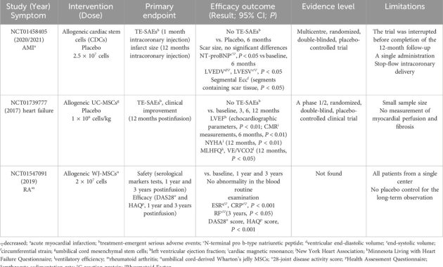 Key Features That Influence Insurance Purchase Decisions