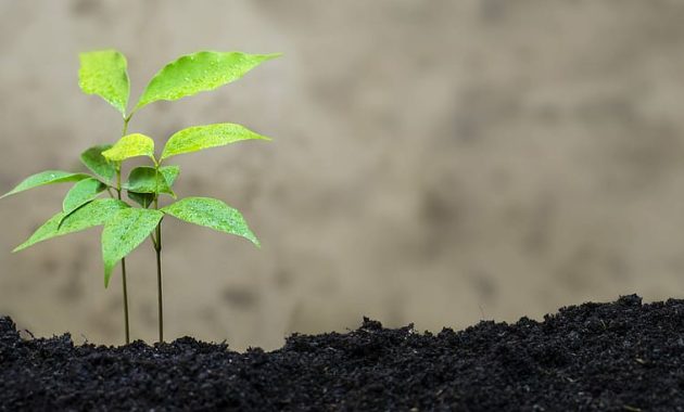 Eco-Friendly Hardware and Green Marketing Revolution