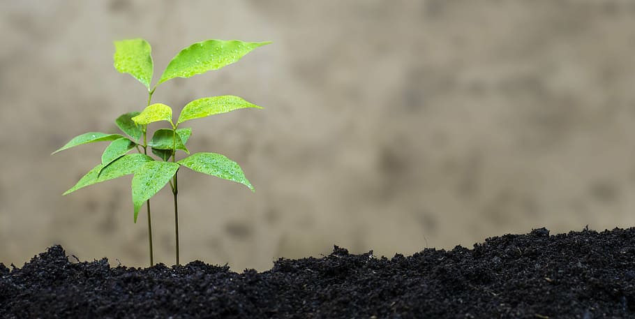 Eco-Friendly Hardware and Green Marketing Revolution